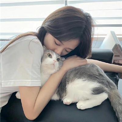 罐头笑声 高清在线观看